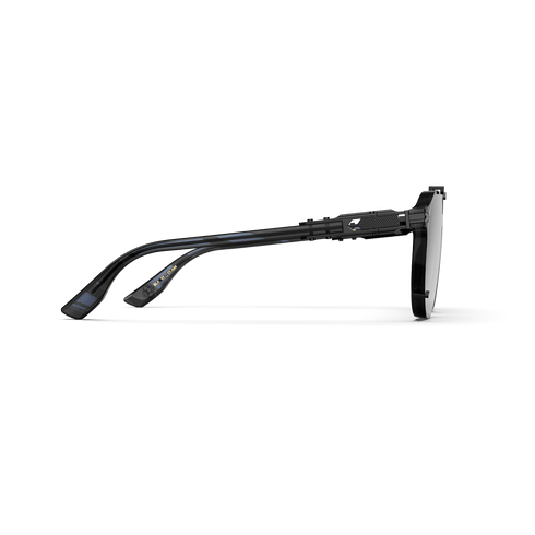 Sunglasses - Entrepreneur